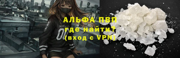 хмурый Нефтекумск