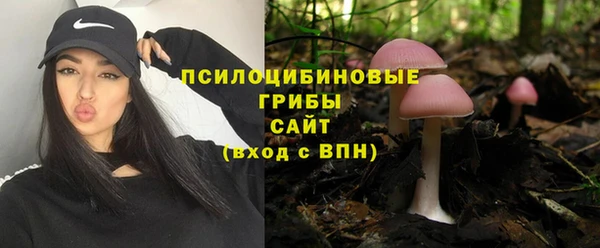 хмурый Нефтекумск