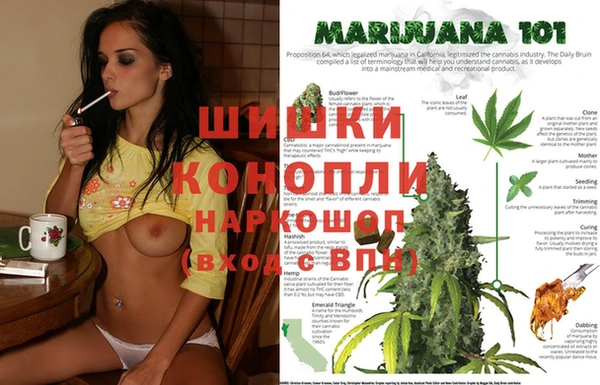 apvp Нея