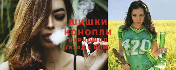 хмурый Нефтекумск