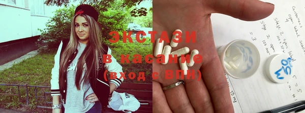 стаф Новодвинск