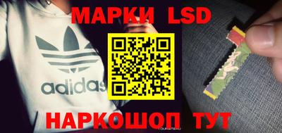 apvp Тайшет