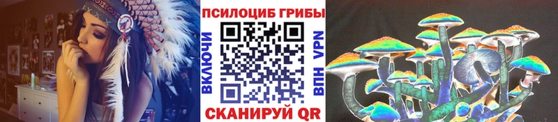 где купить   Полевской  Псилоцибиновые грибы Psilocybe 