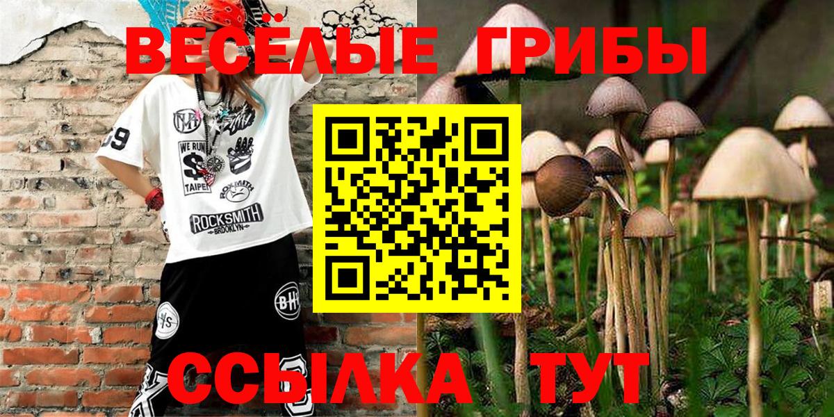Псилоцибиновые грибы прущие грибы  Вход с VPN  Псилоцибиновые грибы Magic Shrooms  Полевской 