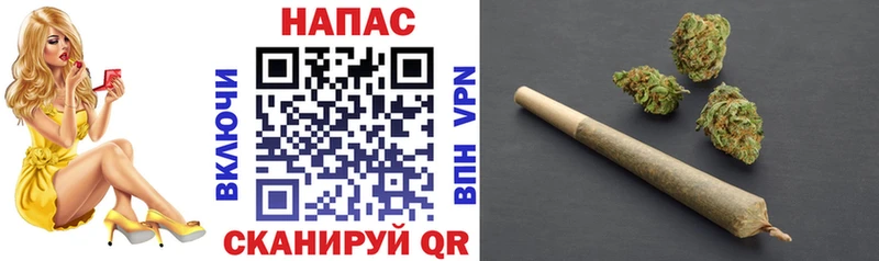 Бошки марихуана план  наркошоп  darknet наркотические препараты  Полевской 